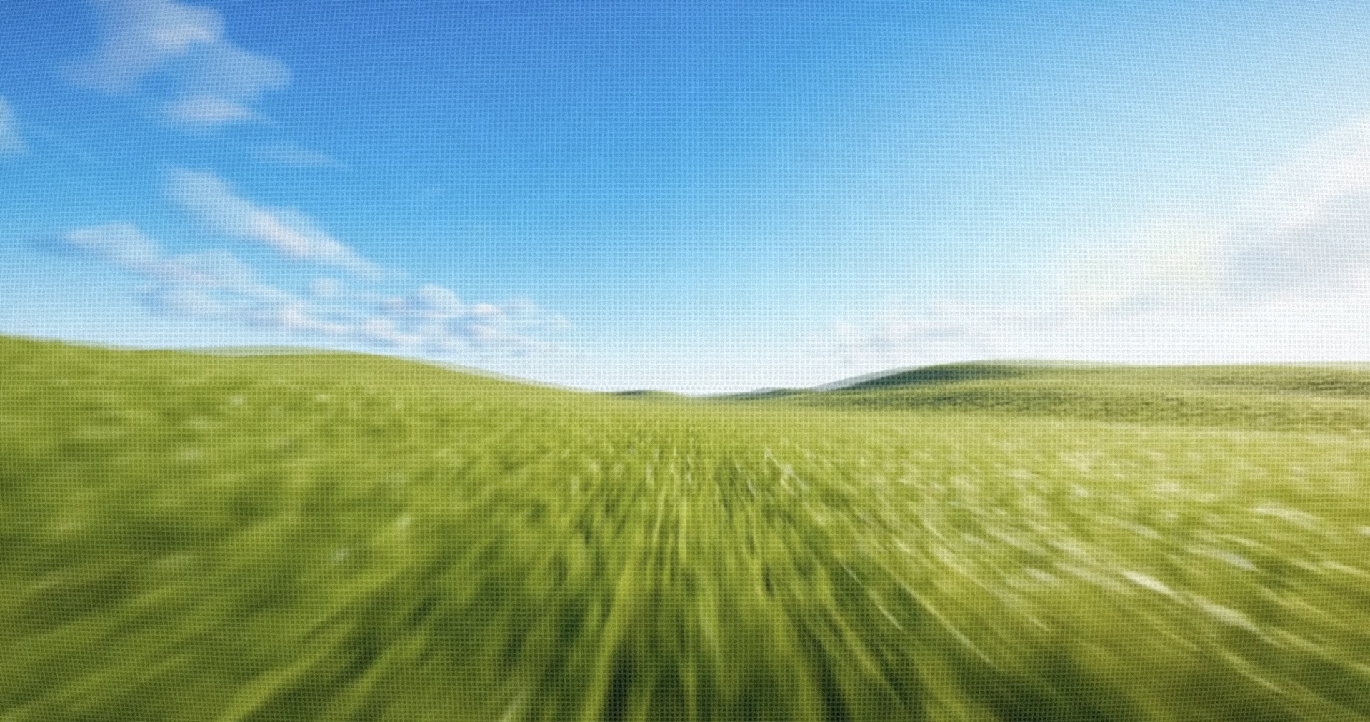 Wind blowing through a green field under a blue sky